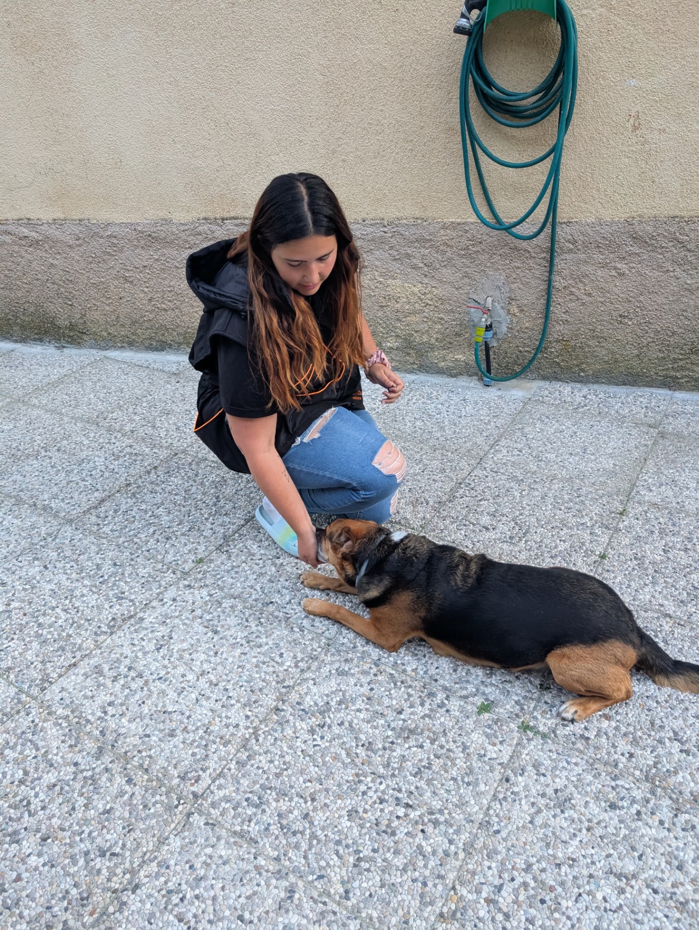 Letizia Morchio durante una sessione di addestramento con un cane meticcio