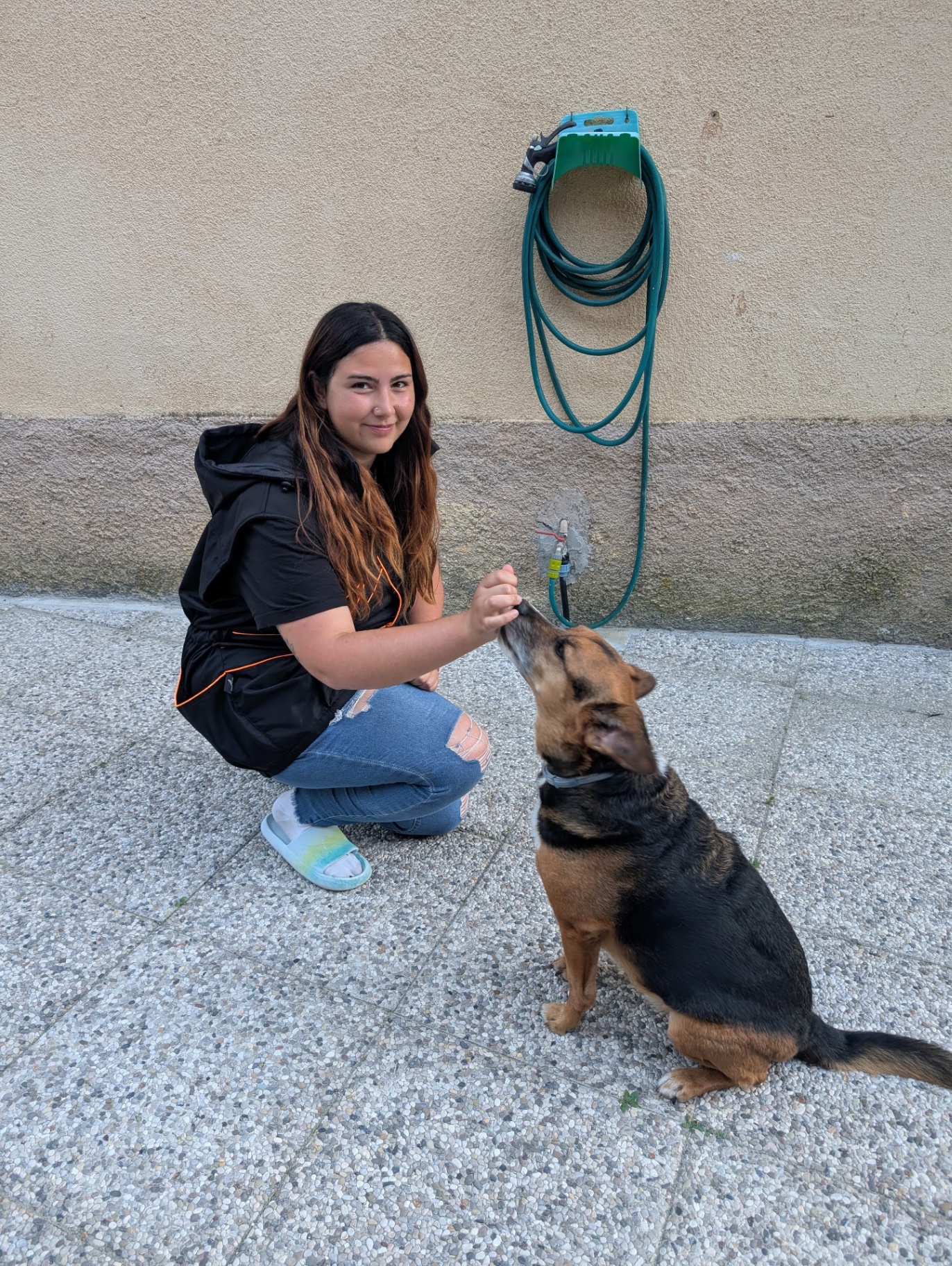 Letizia Morchio premia un cane meticcio durante una sessione di training
